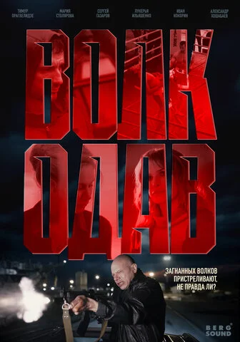 Волкодав постер